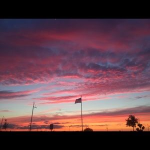 Meet your Posher, Lexi